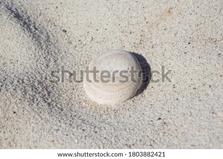 Light stone Close Up on sand Curonian Spit