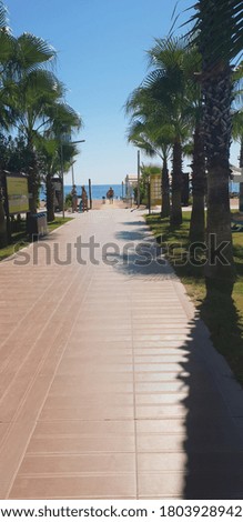 view of a sandy beach in turkey  the picture was taken on the way to the beach