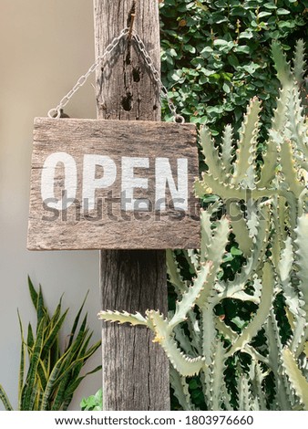 Open, symbol on wooden board surrounded with cactus.
Concept of reopening of the shop after coronavirus pandemic crisis.