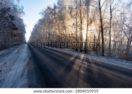 Winter snow road background. Forest landscape.