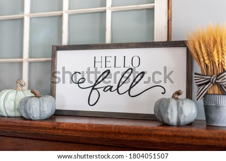 Modern stylish fall decorations for the home in neutral colors