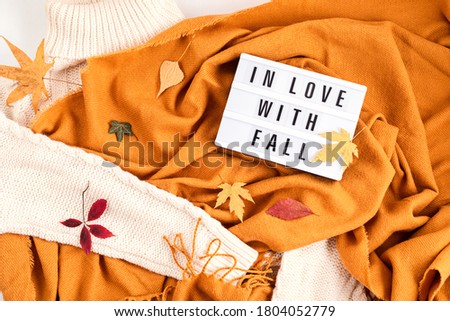 Autumn flat lay composition with lightbox with the phrase In Love with Fall. Autumn, fall, comfort, slow living concept. Top view