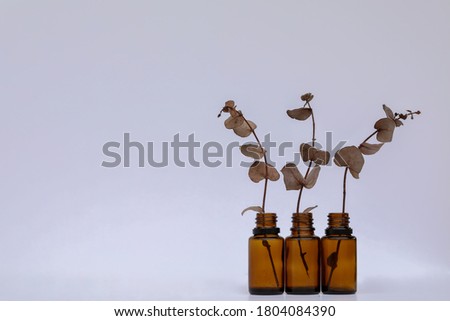 Basic white background image featuring three small isolated amber glass vials with dried gum leaves