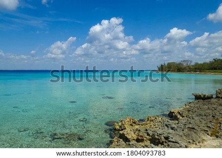 Beautiful and Paradisiacal Beach with Calm Turquoise Waters on a Sunny Day