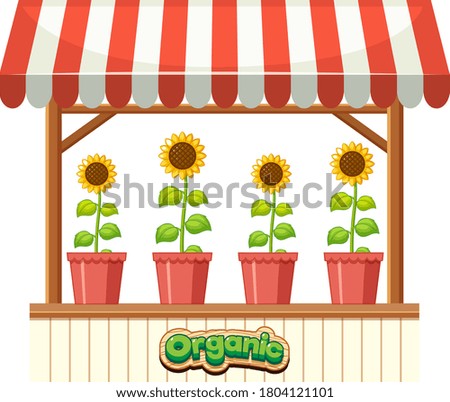 Organic sunflower on the shop illustration