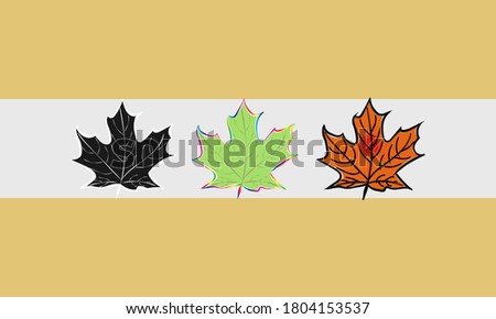 Mapple leaf on 3 different color illustration, vector design