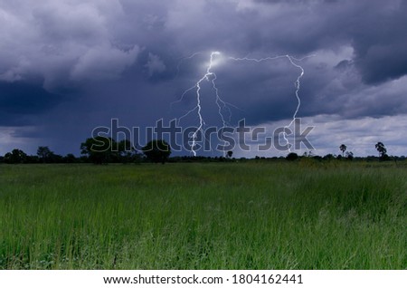 Strong lightning and rain over forest and green grass field