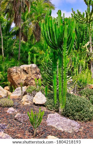 Exploring exotic gardens in Santa Barbara California