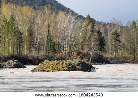 Stone islet on a taiga river against the background of a forest.