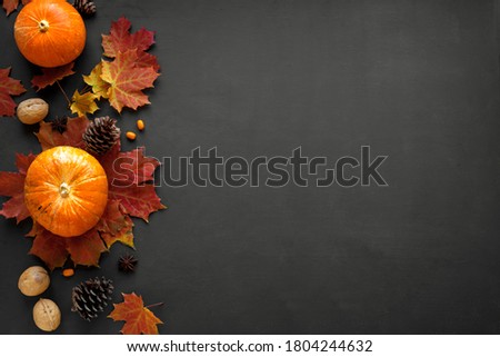 Autumn composition - Pumpkins,  maple leaves, pine cones  on dark background, creative flat lay, top view, copy space. Seasonal autumn holiday concept.