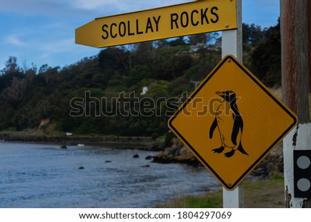 Yellow penguin sign near the ocean, Oban, Stewart Island, New Zealand