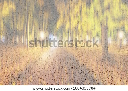 Night rainy park with yellow maple leaves, pavement and lanterns behind wet rainy glass in golden autumn. The concept of bad weather, change of season and leaf fall. Abstract blurred landscape.