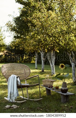 Stylish composition of countryside garden with design rattan armchair, wooden bench, plaid, food, drinks and elegant accessories. A lot of colorful flowers. Summer mood. 