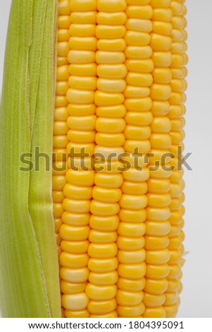 Yellow fresh corn texture for food background