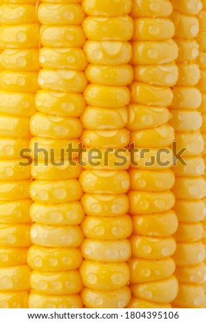Yellow fresh corn texture for food background