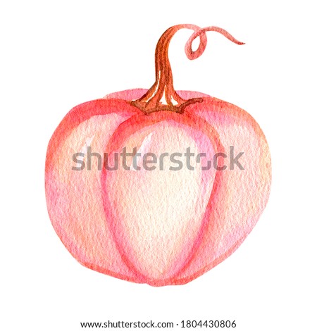 Watercolor autumn pumpkin, hand-drawn. The object is isolated on a white background. Great for your designs, scrapbooking, invitations.