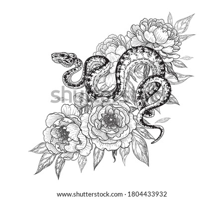 Hand drawn twisted snake among peony flowers isolated on white. Vector monochrome spotted garden tree boa and peonies. Floral illustration in vintage style, t-shirt design, tattoo art, coloring page.