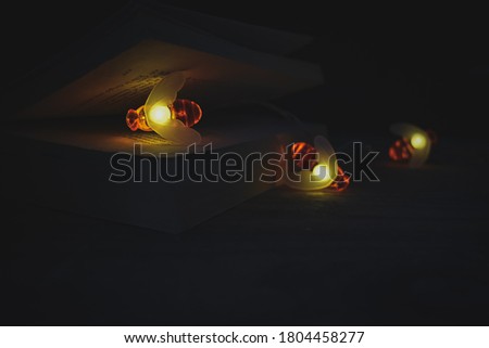 Bee light on Book - Beautiful Photography Background