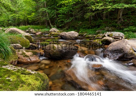 Enjoying a peaceful moment by the river where the water flows around some rocks covered with a green moss. Photo taken in Mont-Mégatic National Park, Quebec, Canada.