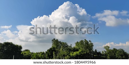 sky beautiful image and tree pictures and weather image