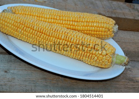 Two cobs of yellow corn on a white plate, against a background of old gray bars.