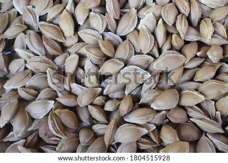 Natural healthy delicious apricot kernels