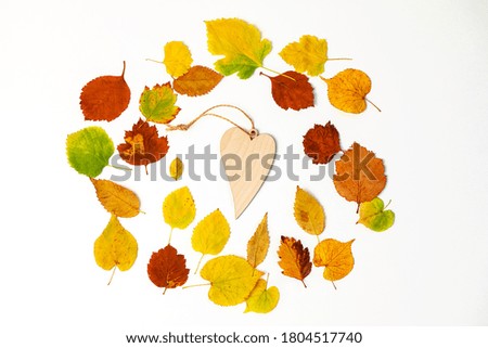 Autumn creative composition, top view, flat layer, dried bright colored leaves and heart of wood on a white background, copy space, sales template, layout, flyers.