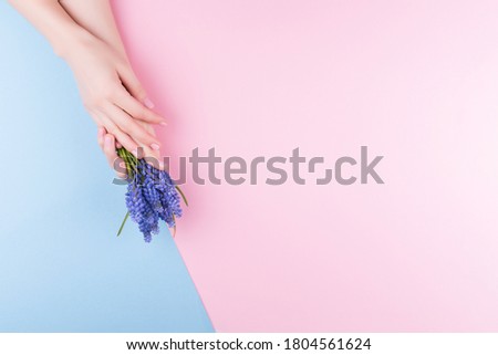 Beautiful delicate women's hands with a stylish pink manicure on a pink and blue background with a flower in your hand