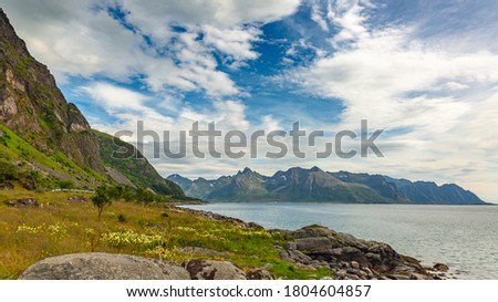 Lofoten island, Norway Picture in Summer