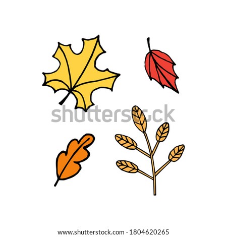 Vector set bundle of different color hand drawn doodle sketch autumn leaves isolated on white background
