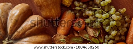 Autumn background with pumpkins and autumn fruits with copy space. Fall background with freshly picked vegetables and fruits after harvest. Thanksgiving