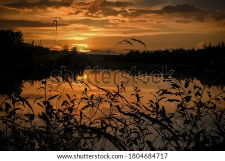Summer colorful sunset at the lake with clouds reflected in water and grass silhouettes on the foreground