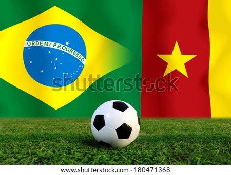 Soccer 2014 ( Football )  Brazil and Cameroon