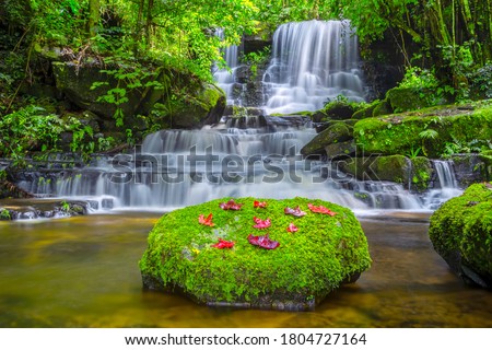Mun dang or Man dang waterfall with a pink flower foreground in Rain Forest at Phitsanulok Province, Thailand Royalty-Free Stock Photo #1804727164