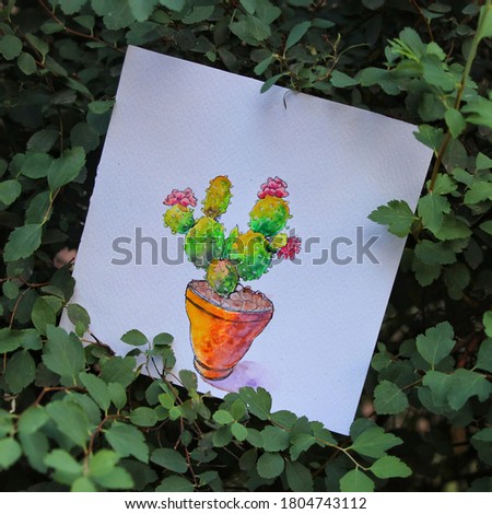 The album sheet depicts a green cactus that grows in a flowerpot and blooms with pink flowers.