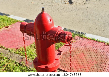 Bright red isolated fire hydrant sits in a city park.
