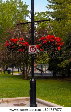 Flowers on a lampost that says no parking in Eau Claira Park Calgary