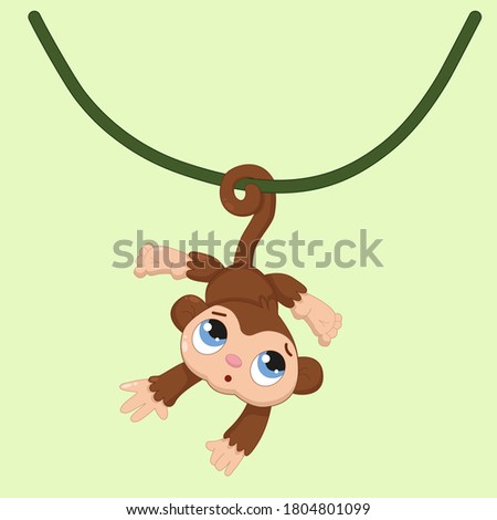 Cartoon little brown monkey on a vine and a solid background