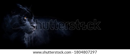 Template of a black panther with a black background Royalty-Free Stock Photo #1804807297