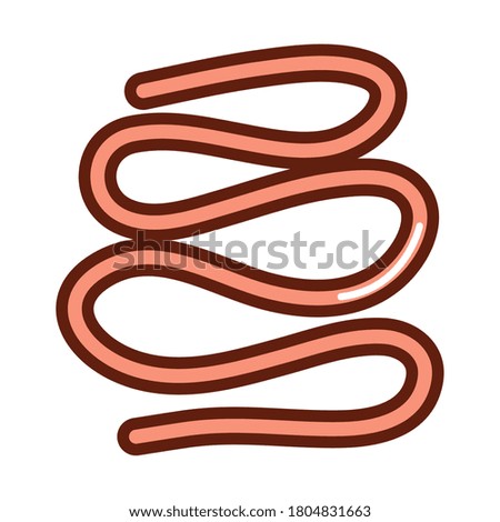 human body small intestine anatomy organ health line and fill icon vector illustration