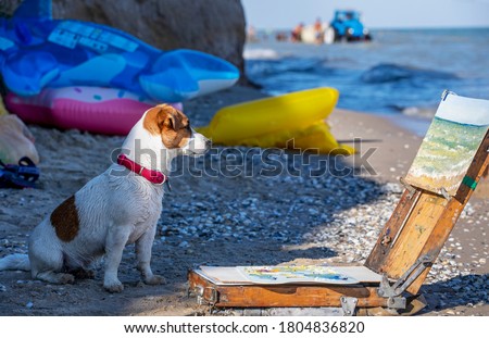   jack russell terrier looks at a picture with the sea on an easel on the beach in the evening, horizontal format