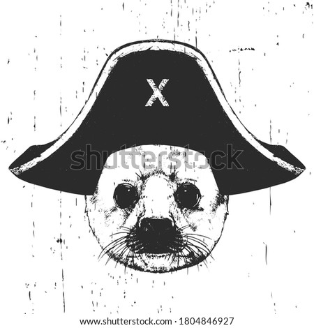 Portrait of Fur Seal with a  pirate hat. Vector. 
