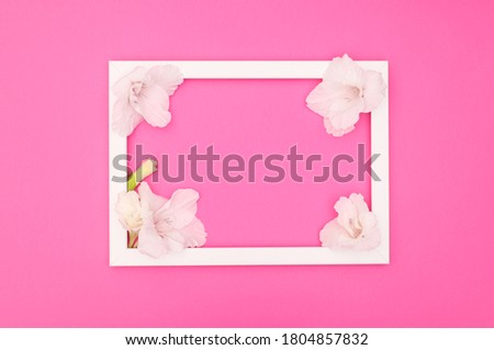 Romantic decorative wooden frame for photo or text on pink background 