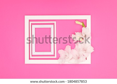 Romantic decorative wooden frame for photo or text on pink background 