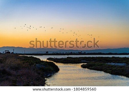 Sunset over the bay. Wetlands relaxing background. Amazing colorful landscape of Ebro Delta, Spain. Vacations adventures. Grass, lagoons and birds. Unique fauna in the world.