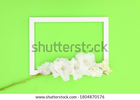 Wooden frame with flower on green background 
