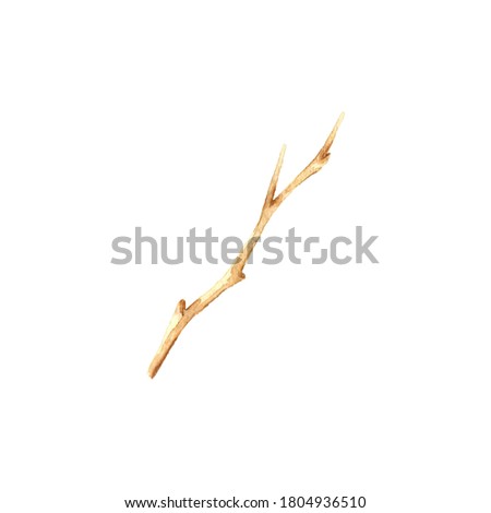 Watercolor hand drawn isolated light brown twig clipart. Dry stick on white background illustration. Tree branch without leaves art.