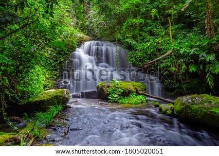Mun dang or Man dang waterfall with a pink flower foreground in Rain Forest at Phitsanulok Province, Thailand Royalty-Free Stock Photo #1805020051