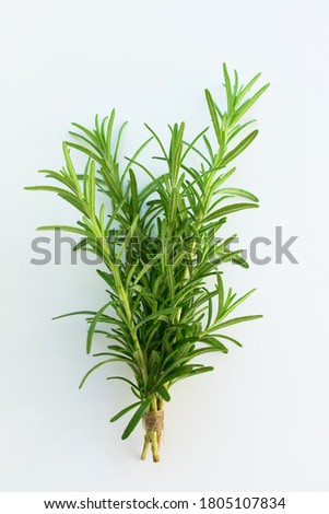 
Sprigs of rosemary, isolated on a white background, fresh organic herbs, spices.