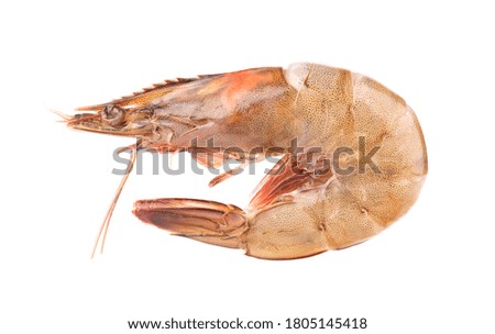 Raw shrimp isolated on white background. Raw prawns.